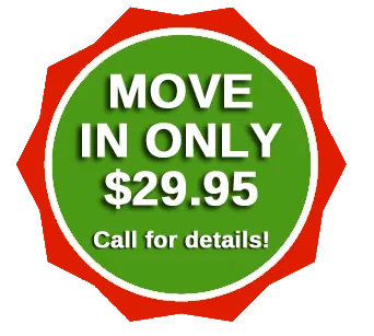 downtown Tampa storage logo